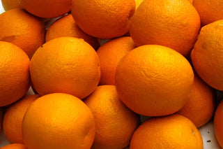 Sweet Orange (Citrus sinensis) — ingredient used in Zea natural wellness products