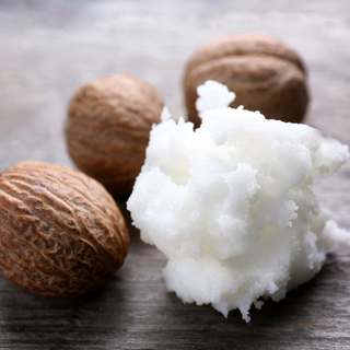 Shea Butter (Butyrospermum Parkii) — ingredient used in Zea natural wellness products