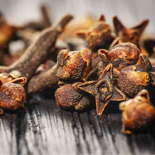 Clove Bud (Syzygium aromaticum) — ingredient used in Zea natural wellness products