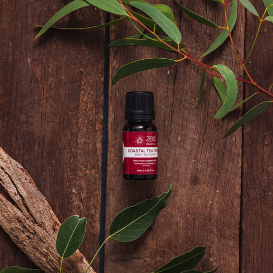 Coastal Tea Tree Essential Oil