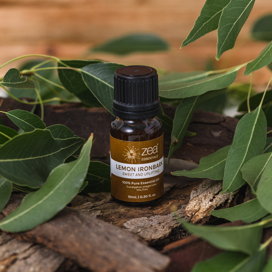 Lemon Ironbark Essential Oil