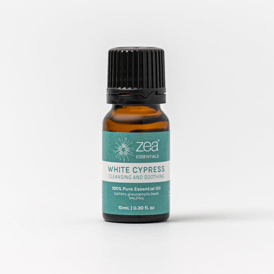 White Cypress Leaf Essential Oil