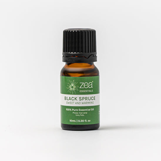 Black Spruce Essential Oil
